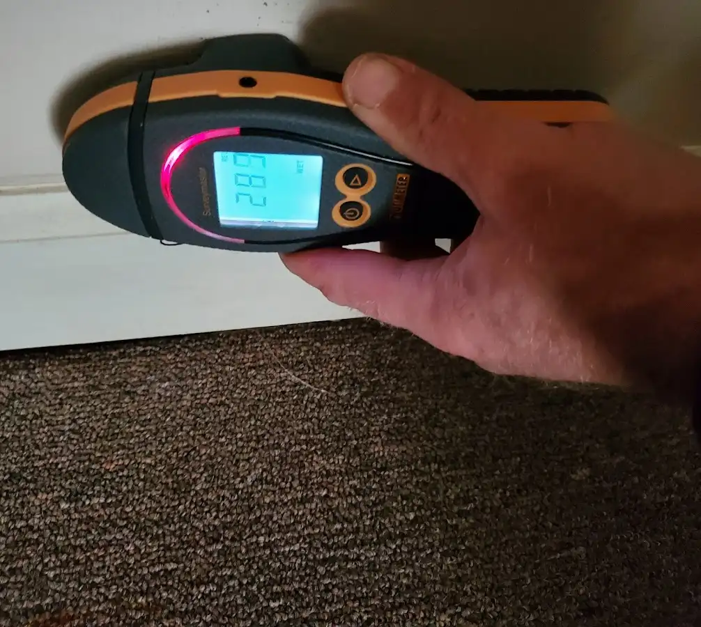 Moisture detection at baseboard during Burst Pipe Cleanup in Poplar Bluff